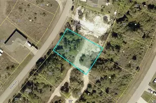 313 Selkirk Ave, Lehigh Acres, FL 33974 - Photo 4