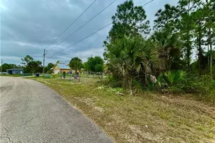 313 Selkirk Ave, Lehigh Acres, FL 33974 - Photo 2