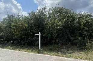 1017/1019 Albany Ave, Lehigh Acres, FL 33971 - Photo 2