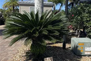 5230 Pineland Daisy Trail, Fort Myers, FL 33905 - Photo 1