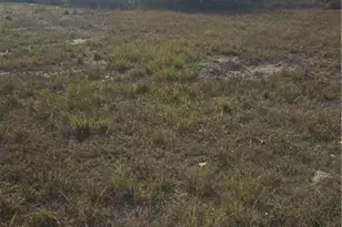 3240 Old Burnt Store Rd N, Cape Coral, FL 33993 - Photo 4