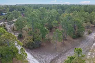 4110 E 23rd St, Alva, FL 33920 - Photo 34