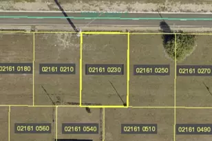 1002 Kismet Pkwy E, Cape Coral, FL 33909 - Photo 2