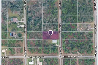 1005 Irving Ave, Lehigh Acres, FL 33972 - Photo 4