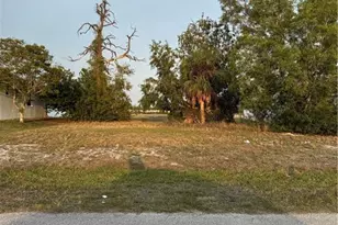 3031 NW 16th Pl, Cape Coral, FL 33993 - Photo 6