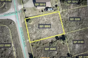 959 Edgerton Ave, Lehigh Acres, FL 33974 - Photo 2