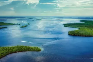 10530 Fountain Palm Cir, Bokeelia, FL 33922 - Photo 20