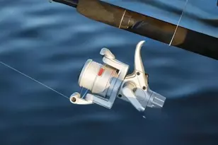 10530 Fountain Palm Cir, Bokeelia, FL 33922 - Photo 24