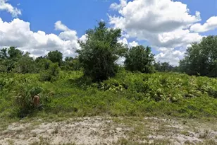 708 Jerome St, Lehigh Acres, FL 33972 - Photo 1