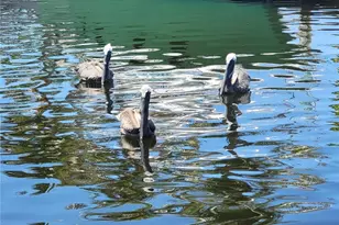 3027 SW 16th Pl, Cape Coral, FL 33914 - Photo 46