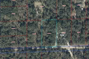 03381-269-00 NE 85th St, Bronson, FL 32621 - Photo 1