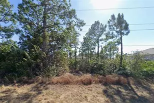 1601 W 11th St, Lehigh Acres, FL 33972 - Photo 2