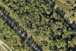 1124232509 Langlais Dr, North Port, FL 34288 - Photo 1