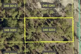 1121 Johns Ave, Lehigh Acres, FL 33972 - Photo 1