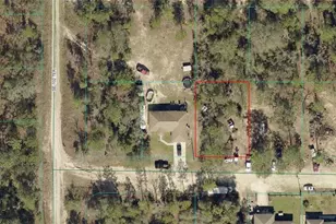 4505-024-024 SE 126 Pl, Belleview, FL 34420 - Photo 1