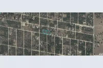 9771-006-00 & 9771-007-00 NE 4th St, Williston, FL 32696 - Photo 2