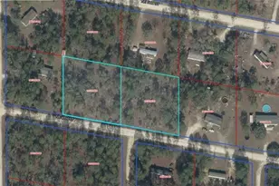 9771-006-00 & 9771-007-00 NE 4th St, Williston, FL 32696 - Photo 1