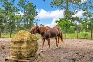 7644 19th Terrace, Labelle, FL 33935 - Photo 12
