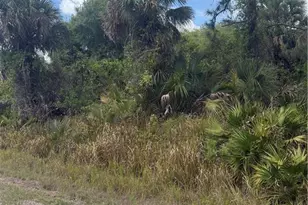 405 Thompson Ave, Lehigh Acres, FL 33972 - Photo 1