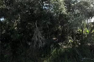 Santa Ana Rd, North Port, FL 34286 - Photo 1