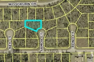 1905 Samoa Ct, Lehigh Acres, FL 33972 - Photo 2