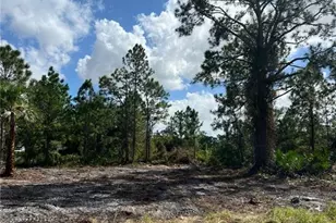 411 Lovers Ave, Lehigh Acres, FL 33974 - Photo 4