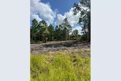 411 Lovers Ave, Lehigh Acres, FL 33974 - Photo 1