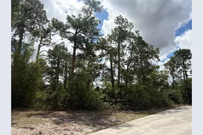 200 Gerald Ave N, Lehigh Acres, FL 33971 - Photo 1