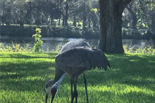 3145 Shell Ln, Fort Denaud, FL 33935 - Photo 14