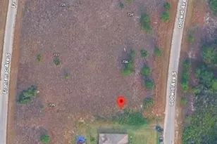 728 Godwid Ave S, Lehigh Acres, FL 33974 - Photo 1