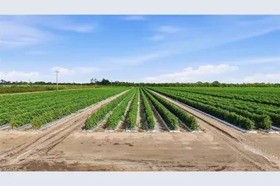 6150 Pringle Ln, Immokalee, FL 34142 - Photo 28