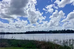 14232 Chisholm Ln, Odessa, FL 33556 - Photo 30