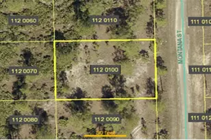 1847 Montana St, Lehigh Acres, FL 33972 - Photo 1