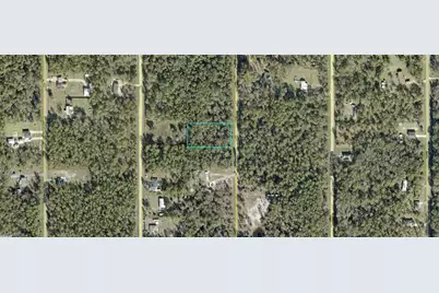 10065 Carpenter Ave, Hastings, FL 32145 - Photo 2