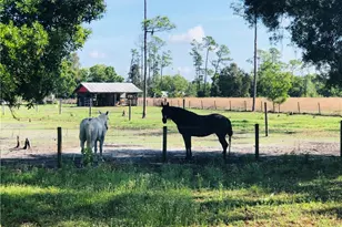 11311 Deal Rd, North Fort Myers, FL 33917 - Photo 4