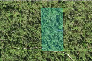 30-31-03-000000-034190 Inaaccesible Track, Lake Wales, FL 33898 - Photo 1