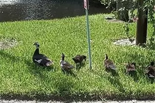 2135 Crystal Dr, Fort Myers, FL 33907 - Photo 8