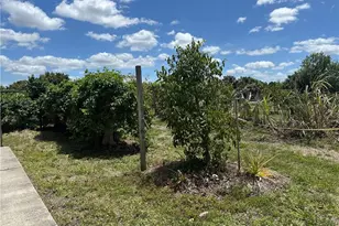 13098 Ficus Tree Ln, Bokeelia, FL 33922 - Photo 10