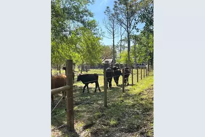 15841 Rassmussen Rd, Punta Gorda, FL 33982 - Photo 12