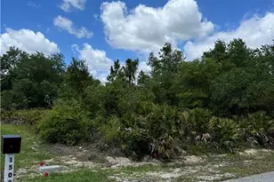 1505 Euclid Ave, Lehigh Acres, FL 33972 - Photo 1