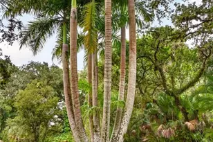 [Address not provided], Fort Myers, FL 33905 - Photo 28