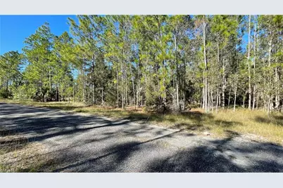 308 Rosanna Ave, Lehigh Acres, FL 33972 - Photo 10
