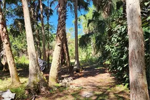 381 8th St NE, Naples, FL 34120 - Photo 10