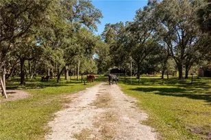 2348 9 Mile Rd, Labelle, FL 33935 - Photo 6