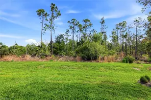 20579 Plumwood Loop, North Fort Myers, FL 33917 - Photo 30