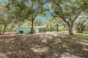 2431 Lippincott Rd, Alva, FL 33920 - Photo 34