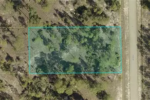 1113 Canton Ave, Lehigh Acres, FL 33972 - Photo 1