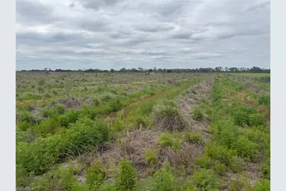 7156 6th Rd, Labelle, FL 33935 - Photo 6