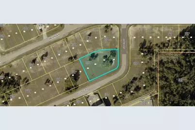 827 Ceitus Ter, Cape Coral, FL 33991 - Photo 2
