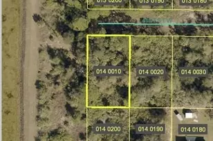 3319 41st St W, Lehigh Acres, FL 33971 - Photo 1